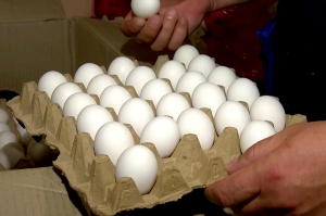 თბილისში, სავაჭრო ობიექტში 21 600 ცალი საეჭვო წარმომავლობის კვერცხი აღმოაჩინეს