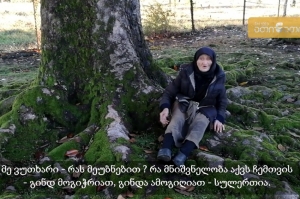 ამ ხეს არავის გავატან, შევაკვდები - 94 წლის ოლია თოდუა 150 წლის მაგნოლიას გაყიდვაზე უარს ამბობს