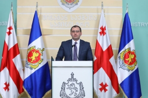ფონიჭალასა და მარნეულში მსხვილი ნარკორეალიზატორები დავაკავეთ – ბორცვაძე
