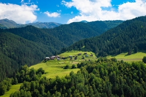 თუშეთის სახელმწიფო ნაკრძალის ფართობი დაახლოებით 2000 ჰექტრით შემცირდება