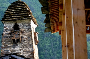 თუშეთის დაცული ლანდშაფტის ტყეების ინვენტარიზაცია ჩატარდება