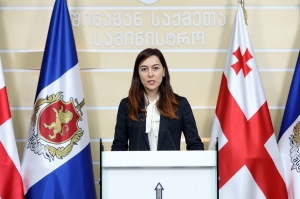 შინაგან საქმეთა სამინისტრომ გამოძიება სავარაუდო დანაშაულის 6 ფაქტზე დაიწყო