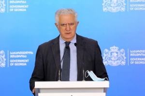 ვფიქრობთ ე.წ. აცრის მარათონის ჩატარებაზე – გამყრელიძე