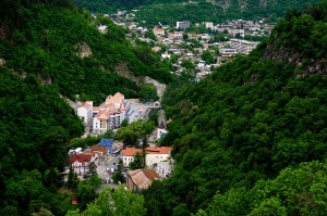 საპატრიარქო ბაკურიანში, მიტარბსა და ყვიბისში მიწის ნაკვეთების დაკანონებას ითხოვს