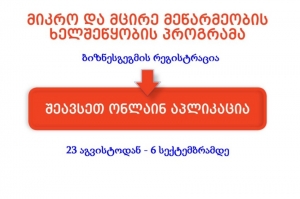 5–დან 15 ათას ლარიანი გრანტების მისაღებად ბიზნესგეგმების რეგისტრაცია გაგრძელდა