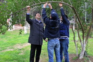 თბილისში აზიური ფაროსანას მონიტორინგის სისტემებს ამონტაჟებენ