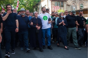 ფოტო: „მწვანეები“