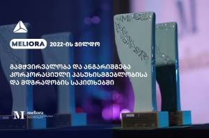 თიბისის Meliora 2022-ის ჯილდო გადაეცა
