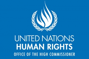 OHCHR სახელმწიფო ინსპექტორის გაუქმების ინიციატივის გამო ღრმა შეშფოთებას გამოთქვამს