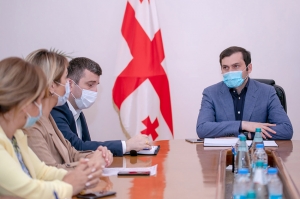 მკაცრი კონტროლით უნდა შევძლოთ სიტუაციის დასტაბილურება – რიჟვაძე