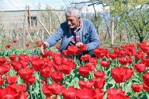 63 წლის კაკო ჯეირანაშვილს, რომელსაც ტიტები უჭკნებოდა, 5000 ლარი შეუგროვეს