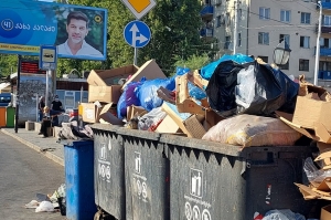 ანა დოლიძის ფოტო