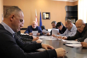 გორის საკრებულოში „ნაცმოძრაობა“ და „ევროპული საქართველო“ ფრაქციას ქმნიან
