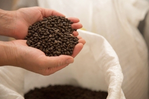 თბილისში ყავის გადამამუშავებელ კომპანიას საწარმოო პროცესი შეუჩერეს