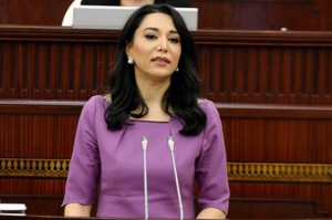 აზერბაიჯანის ომბუდსმენი ფონიჭალაში ბავშვების შესაძლო ნიშნობას ეხმაურება