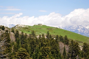 ხვამლის მთაზე ტრაქტორით უნებართვო არქეოლოგიურ სამუშაოებს აწარმოებენ