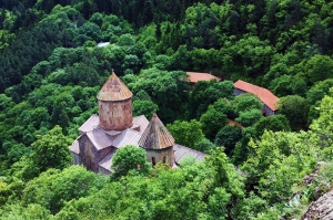 ეკლესიისათვის სახელმწიფო ტყის საკუთრებაში გადაცემა დისკრიმინაციულია - საია