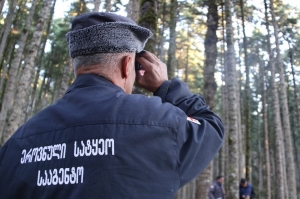 სატყეო სააგენტოს თანამშრომელი 5000 ლარის ქრთამის სახით აღების ბრალდებით დააკავეს